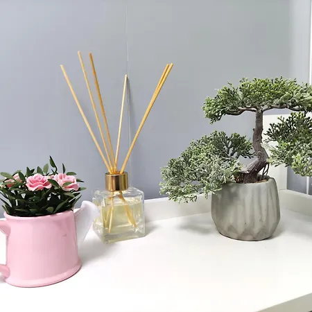 Apartment Studio'24 - Adults Only Constanţa