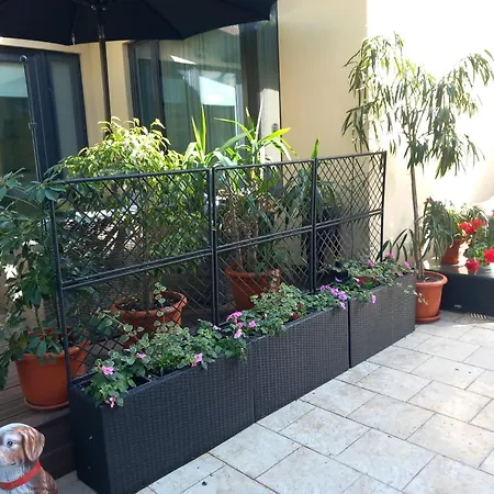 Apartamento Studio'24 - Adults Only *