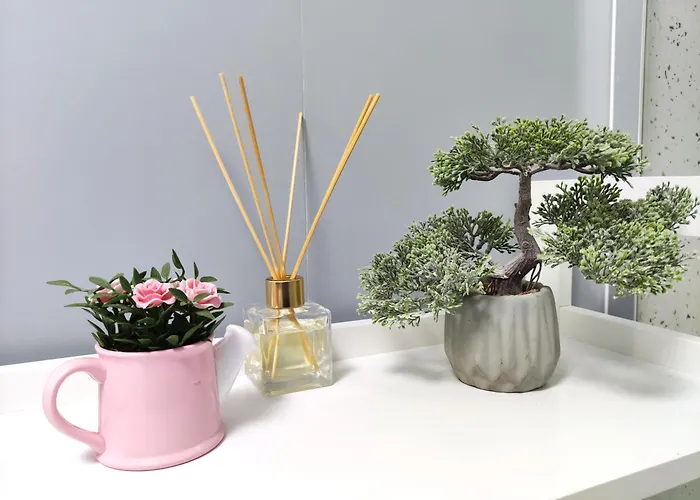 Apartamento Studio'24 - Adults Only Constança